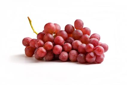 are grape vines toxic to dogs